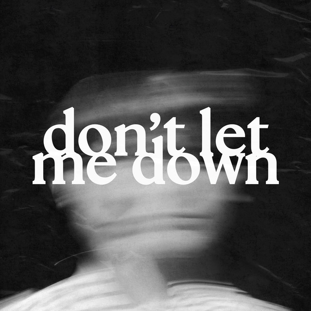 Don't Let Me Down cover