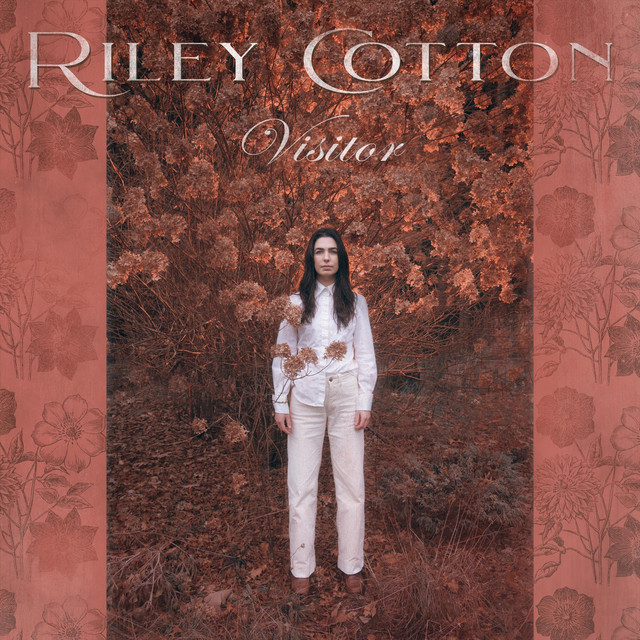 Visitor – Single de Riley Cotton | Spotify