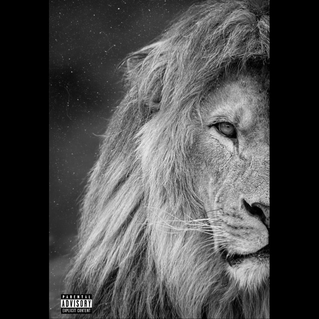 Lion cover art