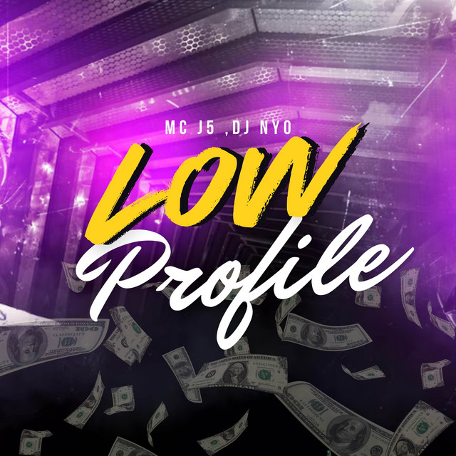 Low Profile