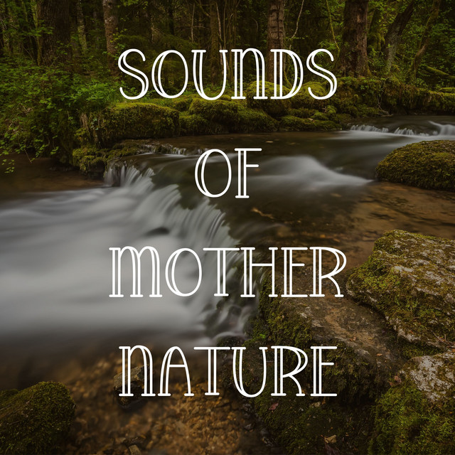 【中古】 NSO / The Nature Sound Orchestra Sounds of Mother Nature - Album by Natures Orchestra | Spotify
