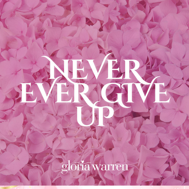 Never Ever Give Up