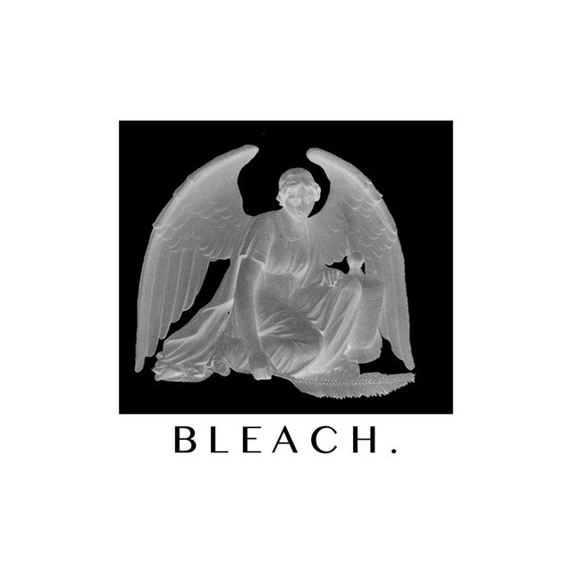 Bleach cover art