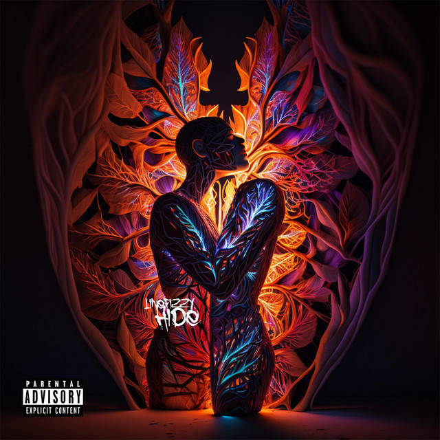 Hide cover art