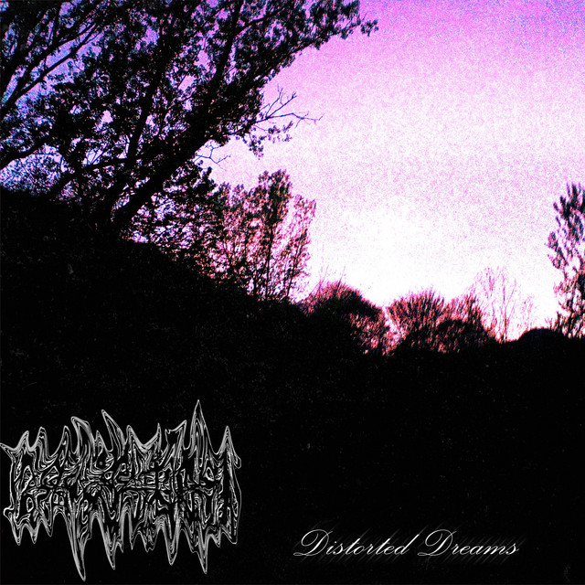Distorted Dreams cover art