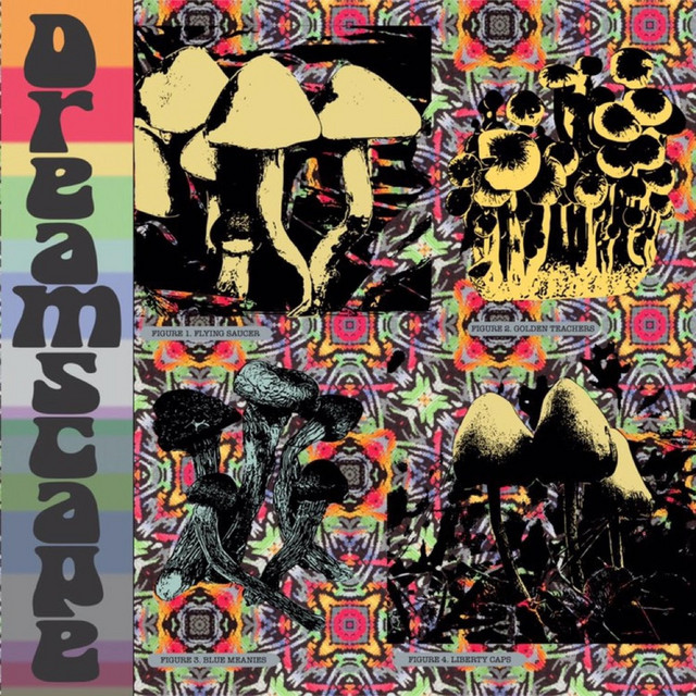 Dreamscape cover art