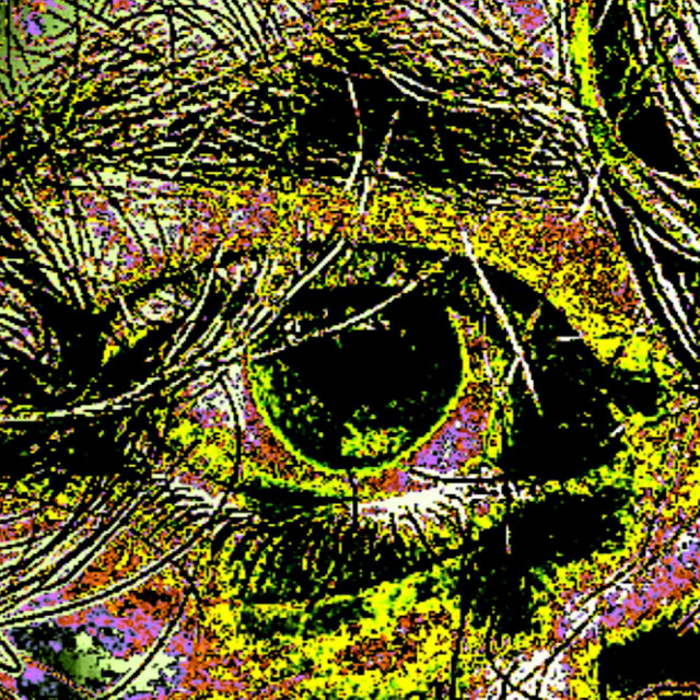 SIFT cover art