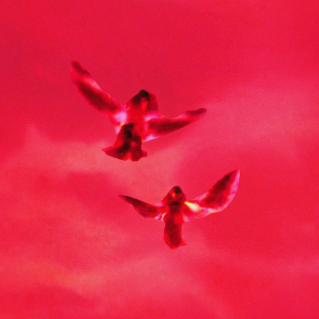 ANGELZ cover art