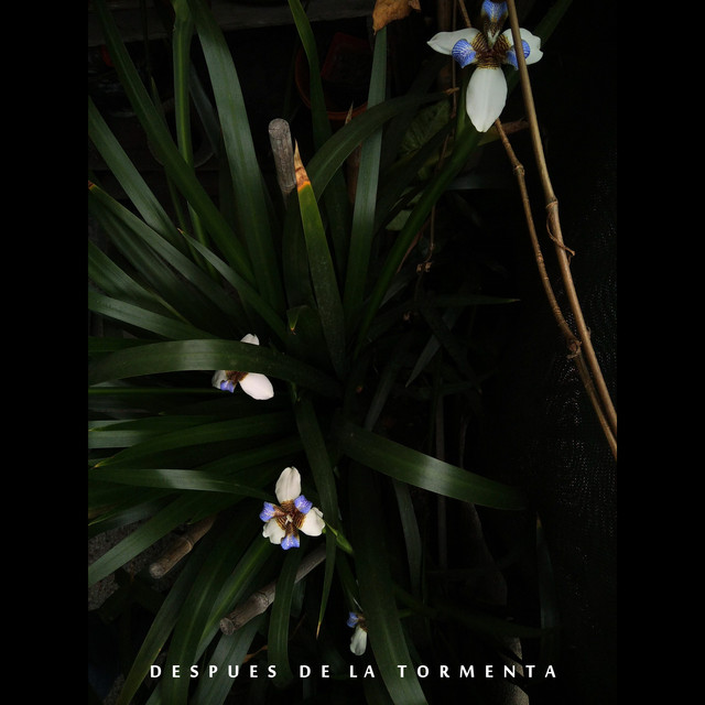 Después de la Tormenta cover art