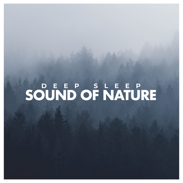 Deep Sleep: Sound of Nature - Album by Zen Music Garden | Spotify