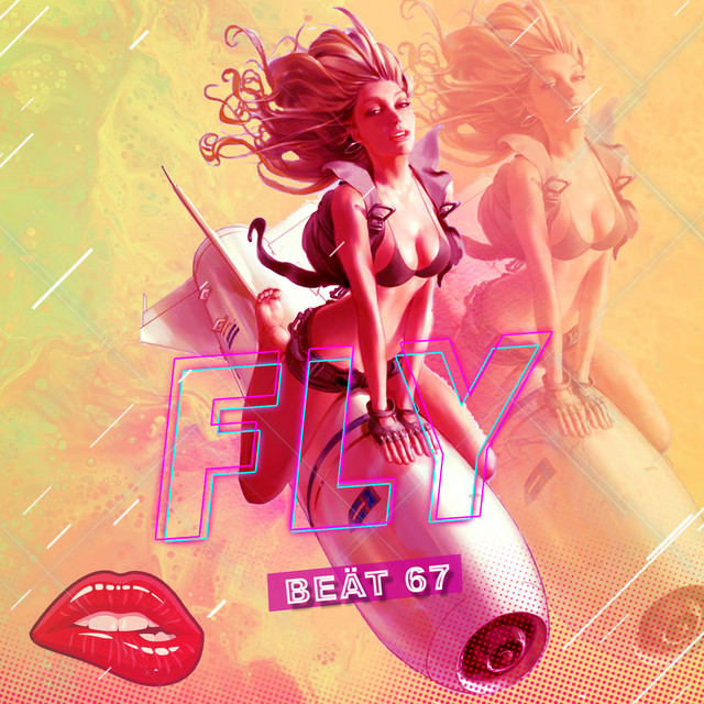 FLY cover art