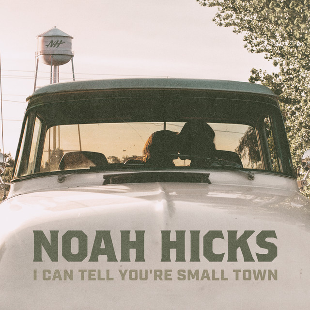 I Can Tell You're Small Town cover art