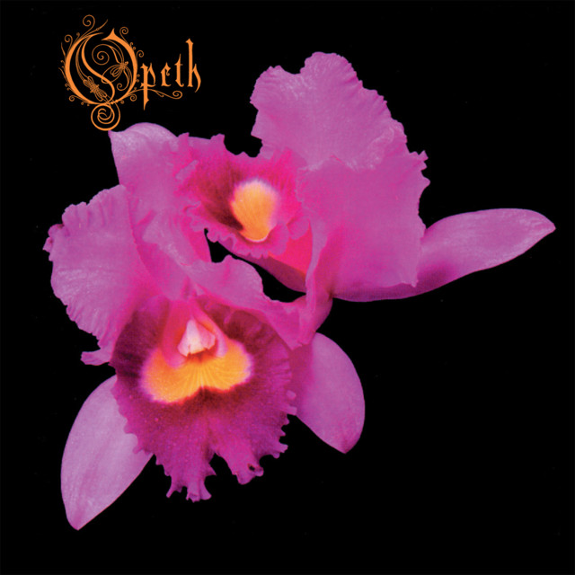Orchid cover art