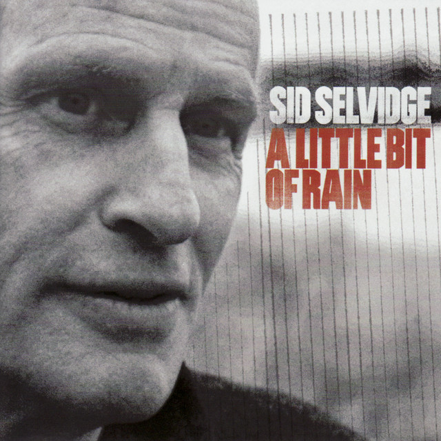 A Little Bit of Rain cover art