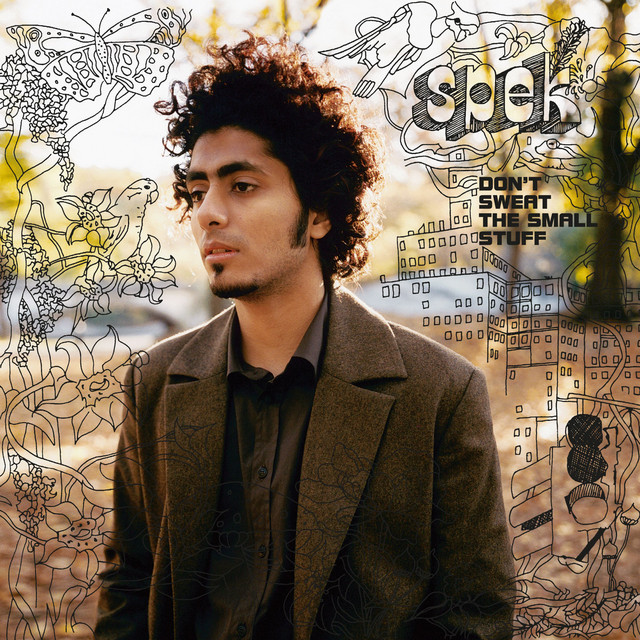 Don't Sweat the Small Stuff cover art