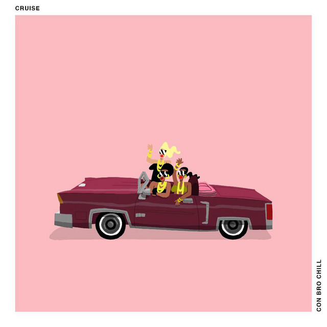 Cruise cover