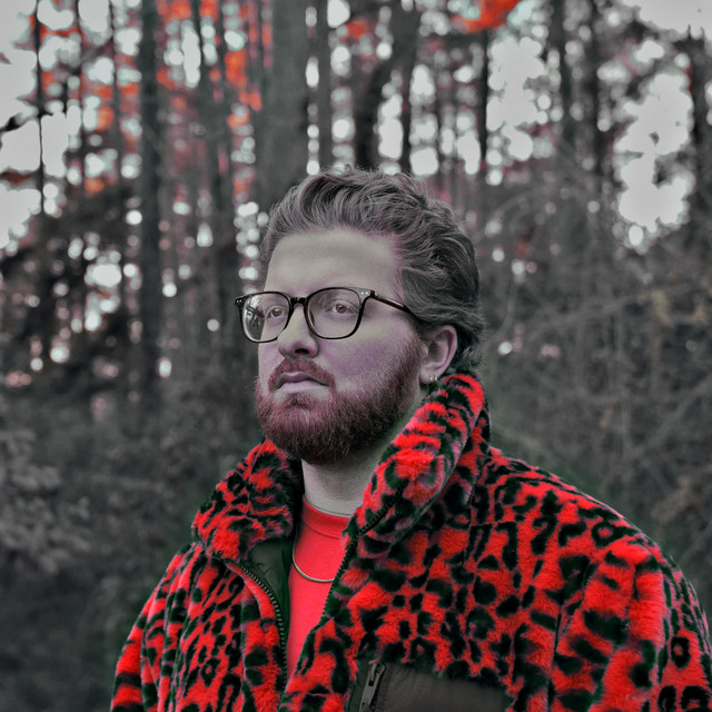 Branch Out cover art