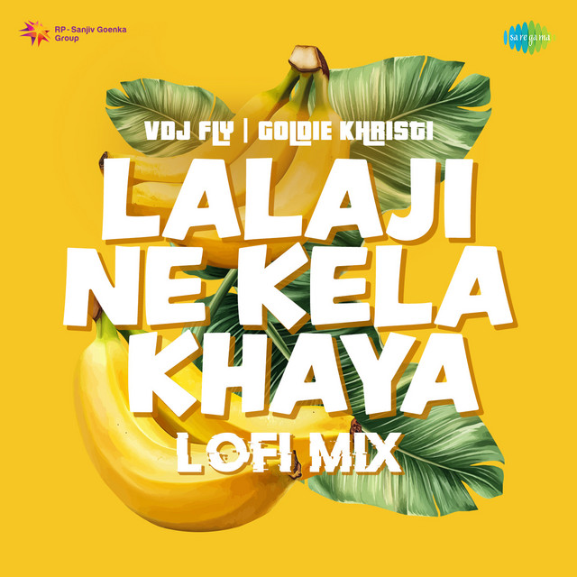 Lalaji Ne Kela Khaya Lofi Mix