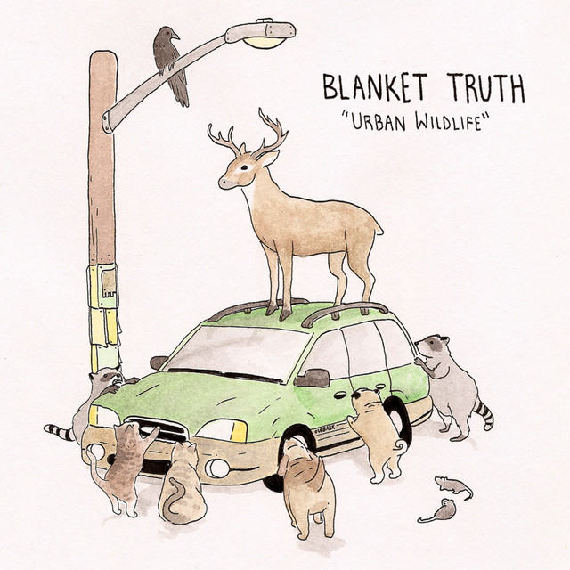 Blanket Truth Photo