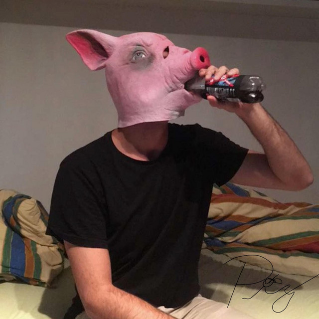The Piggy Jamz, Vol. 1 - Single by The Ruff Wanderer | Spotify