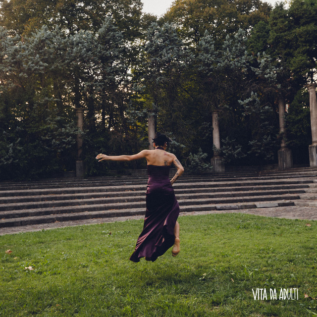 Vita da adulti cover
