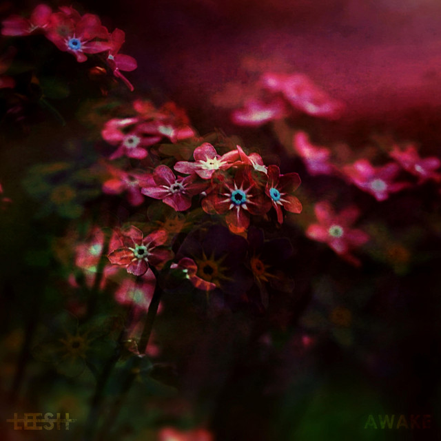 Awake cover art