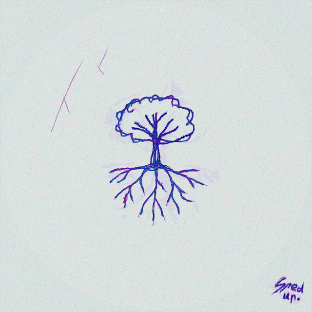 Sped Up ;) cover art