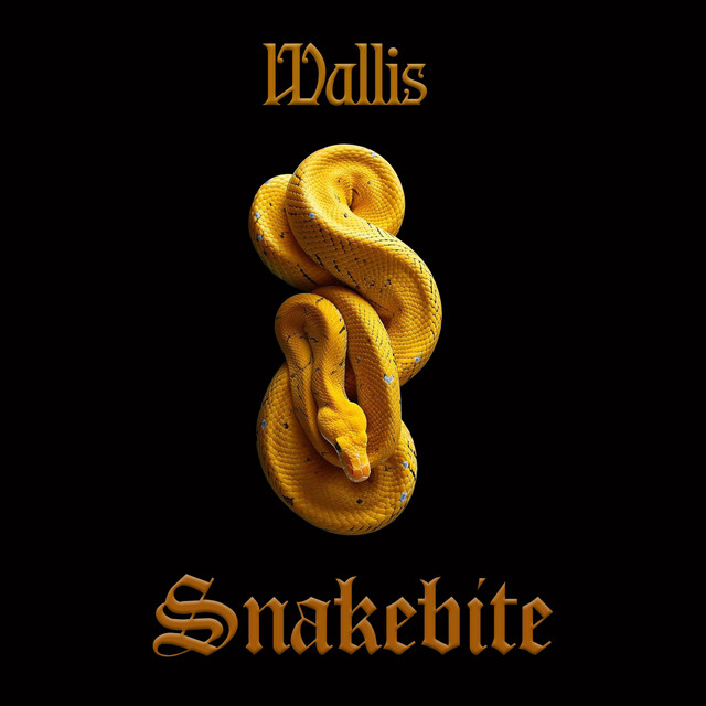 Snakebite cover art