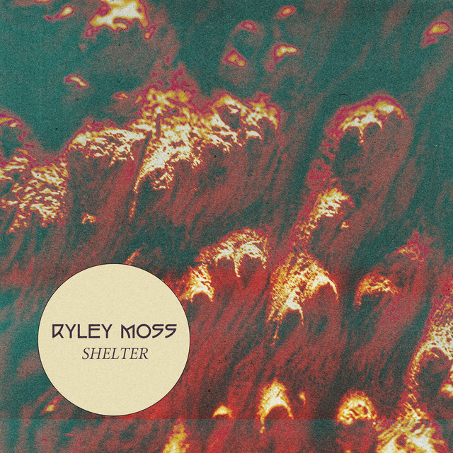 Shelter cover