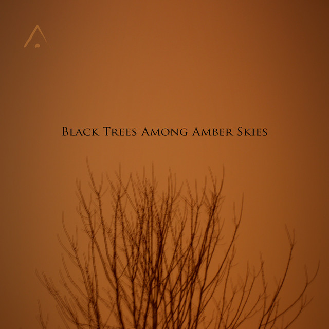 Black Trees Among Amber Skies cover art