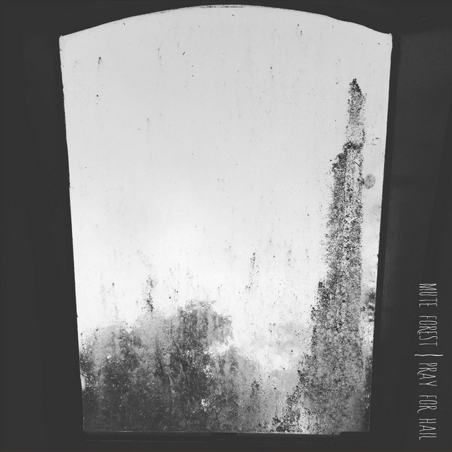Pray for Hail cover