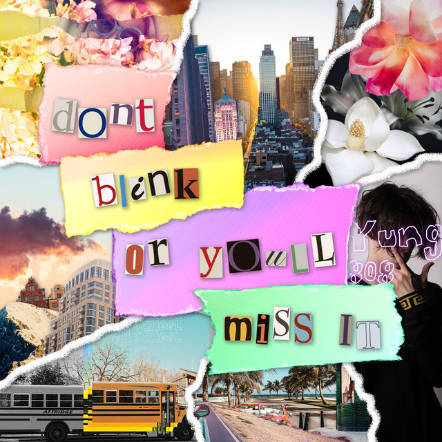 Don't Blink or You'll Miss It cover art