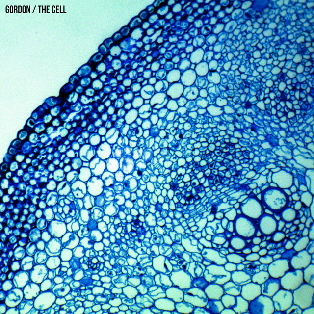 The Cell cover art