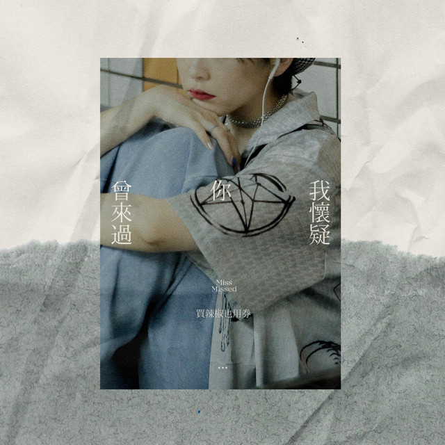 我怀疑你曾来过 cover art