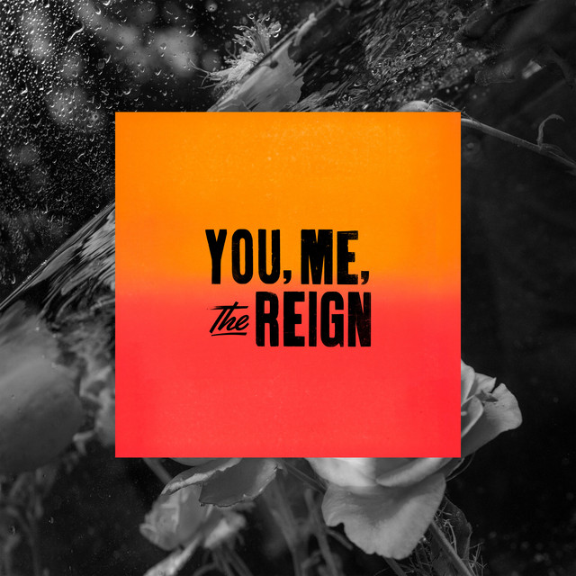 You, Me, the Reign (Mighty Mark Remix) cover