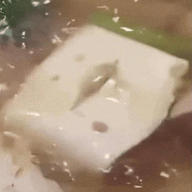 SPACE TOFU artwork