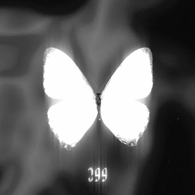 299 cover art