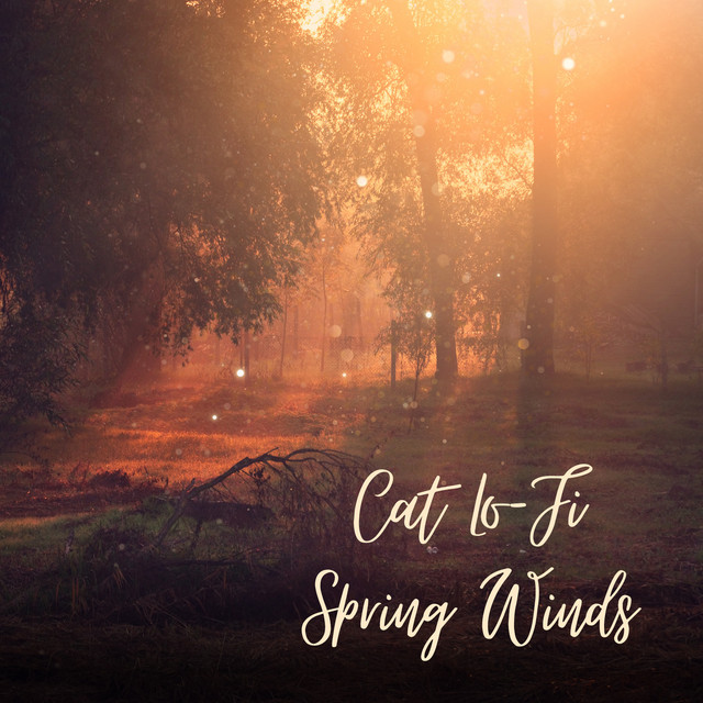 Spring Winds - Single by Cat Lo-Fi | Spotify