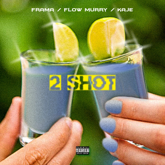 2 Shot cover art