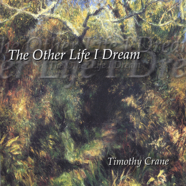 The Other Life I Dream cover