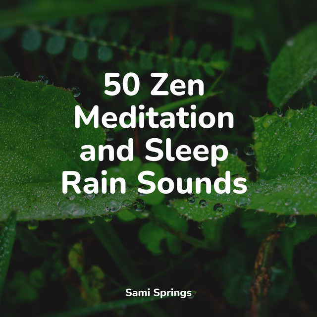 50 Zen Meditation and Sleep Rain Sounds - Album by Binaural Creations ...