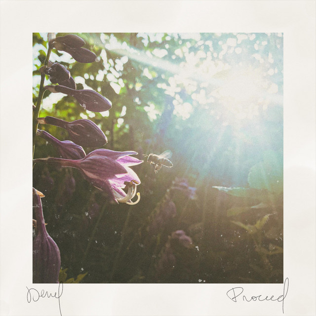Proceed cover art