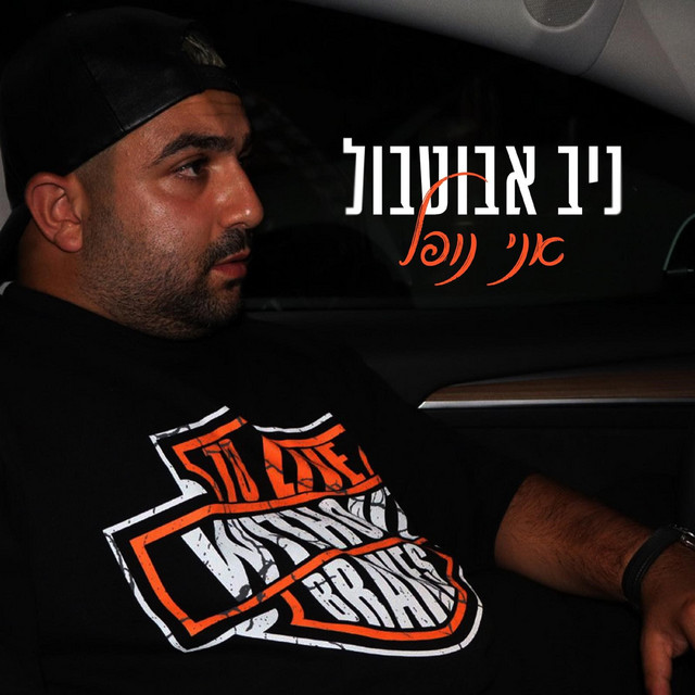 אני נופל cover art