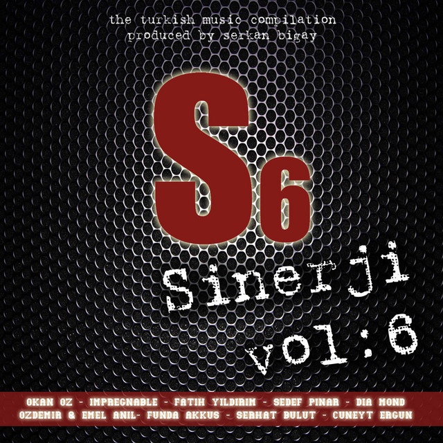 Sinerji Vol:6 cover