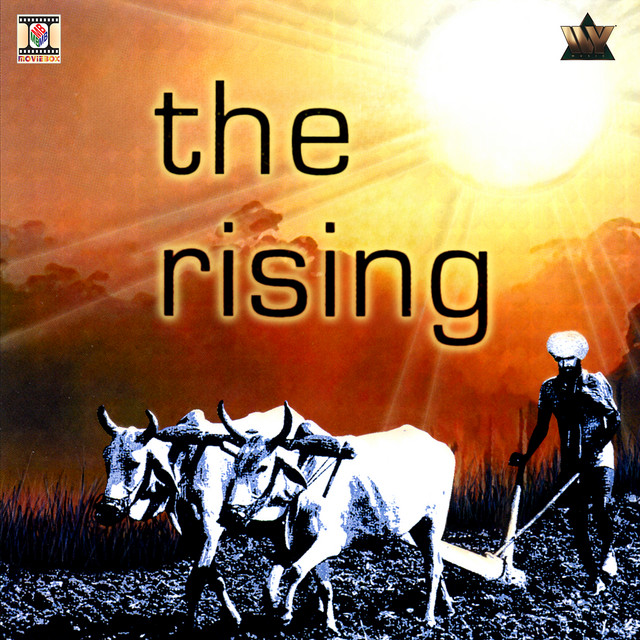 The Rising cover art