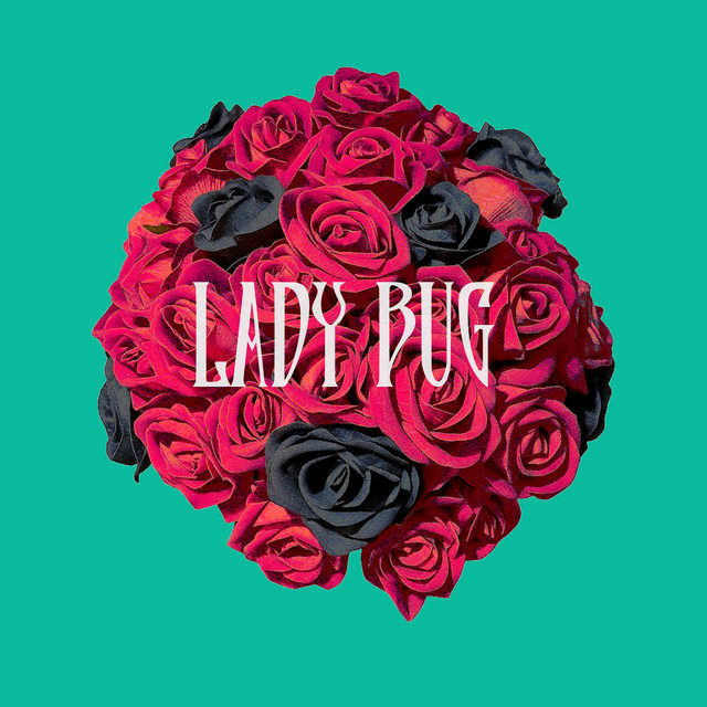 LADY BUG cover