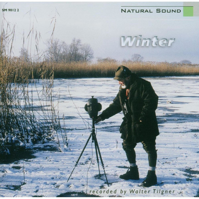 Natural Sound: Winter am Bodensee / Winter at Lake Constance