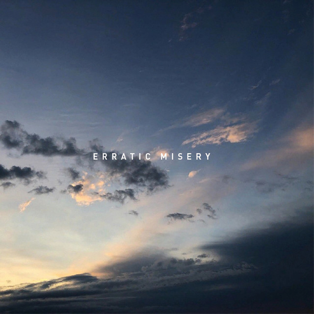 erratic misery LP cover art