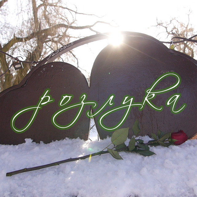 Обкладинка: Розлука — Naspiv orchestra