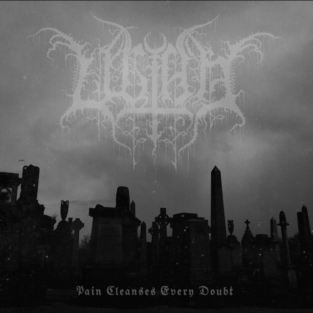 Pain Cleanses Every Doubt cover art